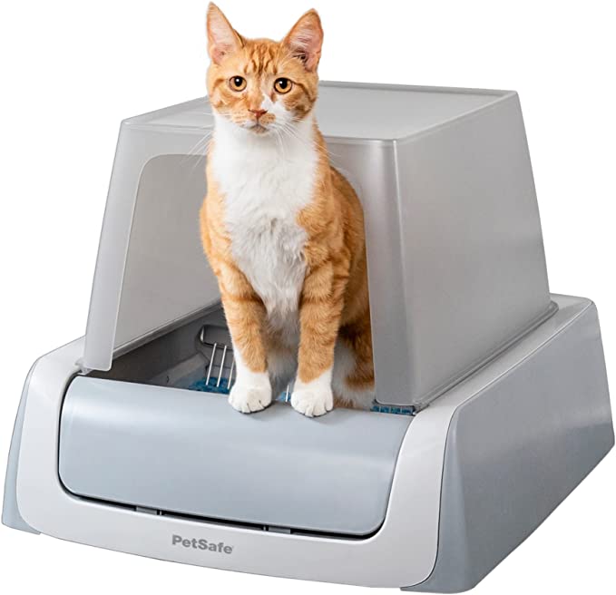 The Best Cat Litter Box For Your Feline Friend: The Ultimate Guide