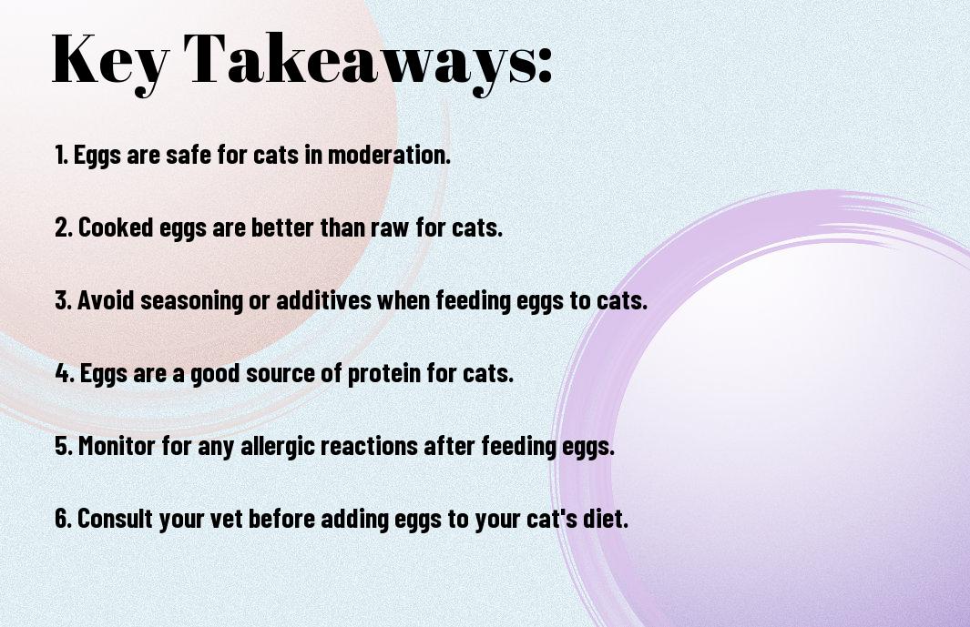 Can Cats Eat Eggs? Is It Safe For My Cats?