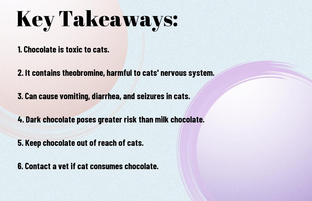 Can Cats Eat Chocolate? Is It Safe For My Cats?