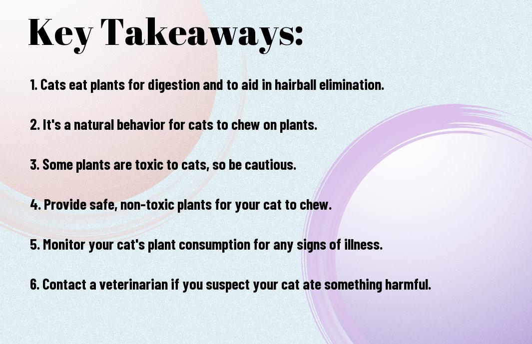 Why Do Cats Eat Chew On Plants? Should I Feel Worried?
