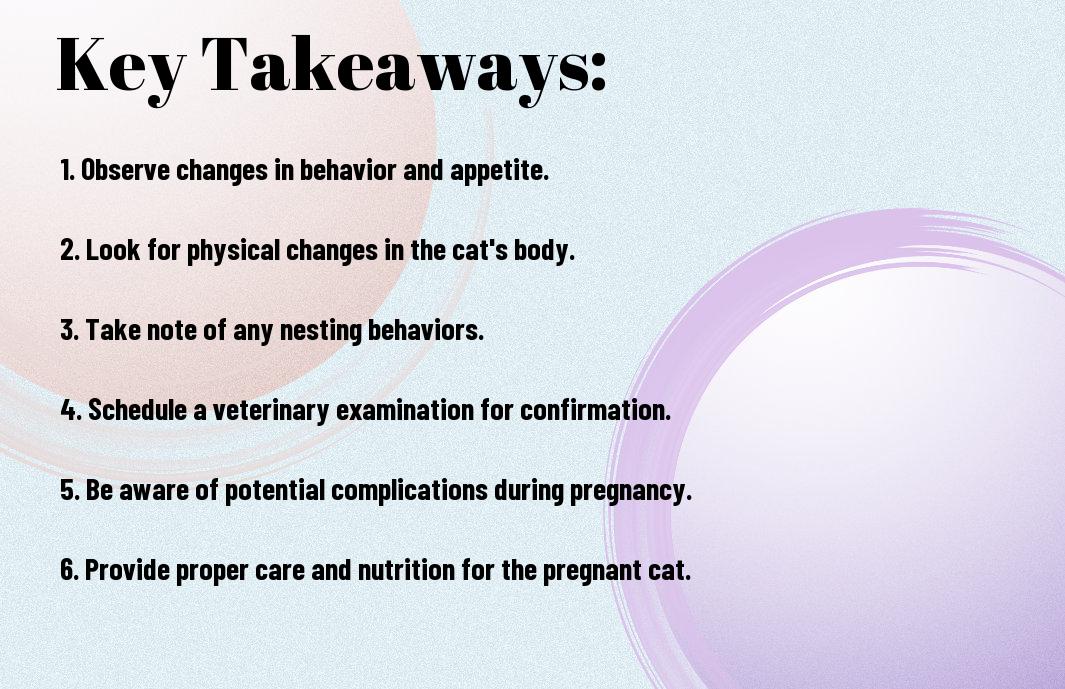 Is My Cat Pregnant? How To Tell If My Cat Is Pregnant?