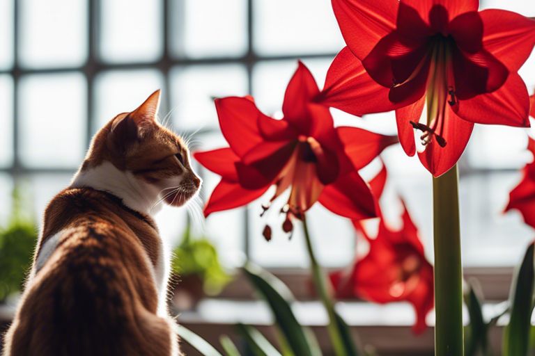 Are Amaryllis Poisonous To Cats?